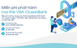 Understanding Credit Card Debt and How